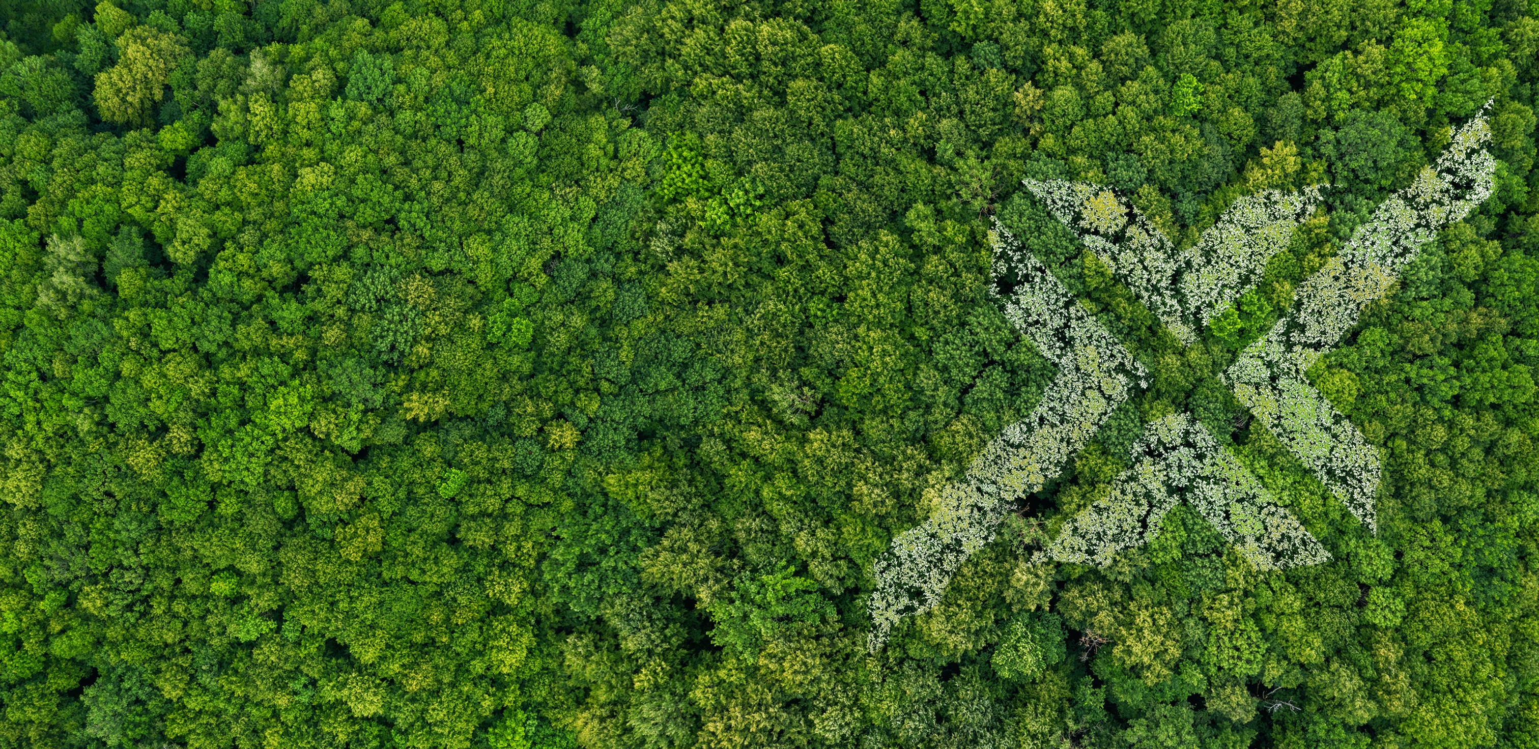 Aerial forest canopy forming the HAE symbol